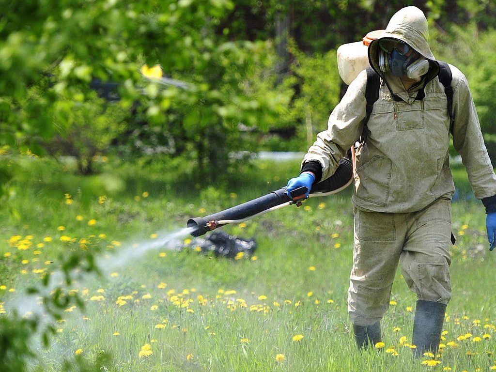 Как бороться с клещами на дачном участке?