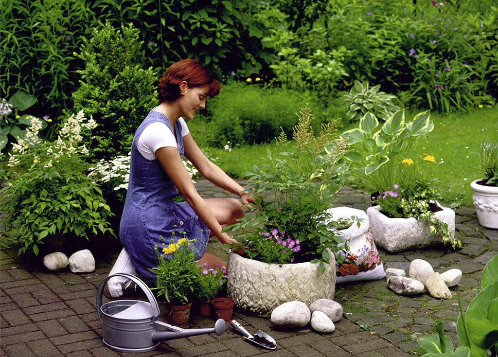 Как красиво сажать цветы в огороде фото