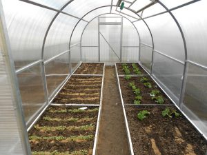 Как сделать теплицу максимально удобной?