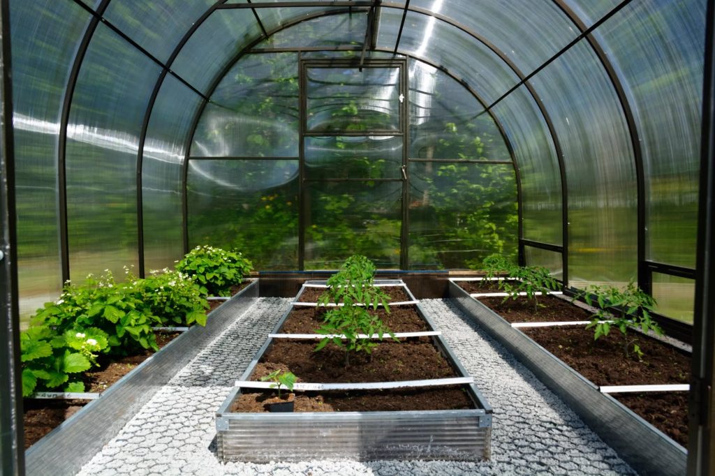 Как сделать теплицу максимально удобной?