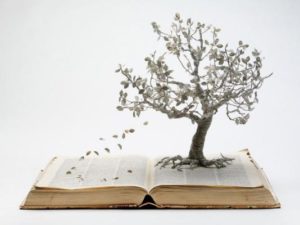 Тест: Знаете значения слов?