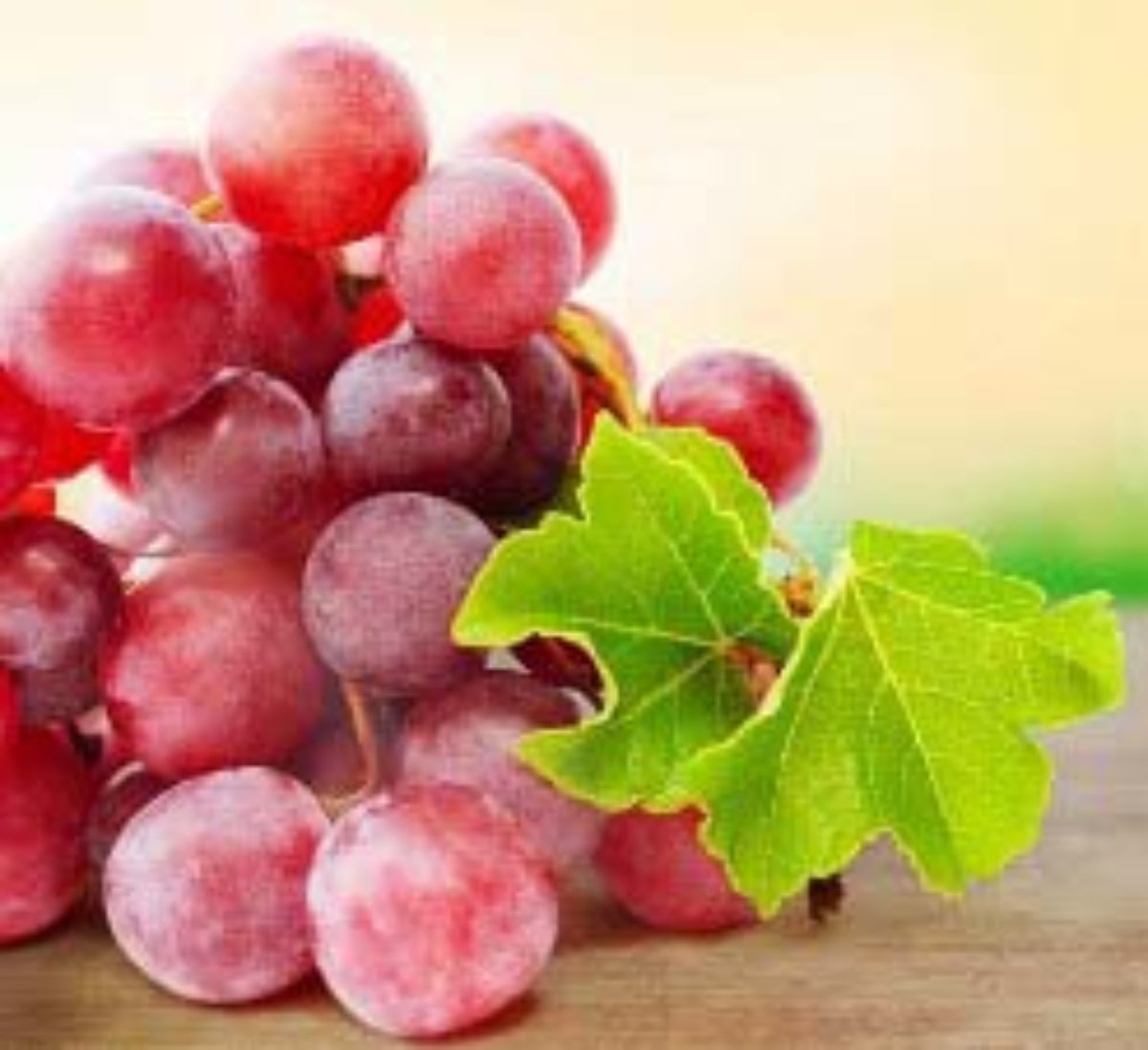 Сорт винограда Лидия: происхождение, описание, достоинства, посадка и уход,рецепт вина, отзывы