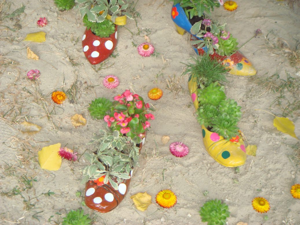 В ботинки и туфли можно высадить низкорослые экземпляры: маргаритки, анютины глазки, петунию, бегонию, бархатцы – это хорошо цветущие растения