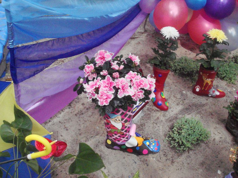 В сапоги надо посадить высокие растения: хризантемы, астры, гиацинты, тюльпаны, лилии, флоксы, пионы, ирисы