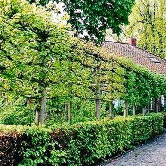 Достоинства метода