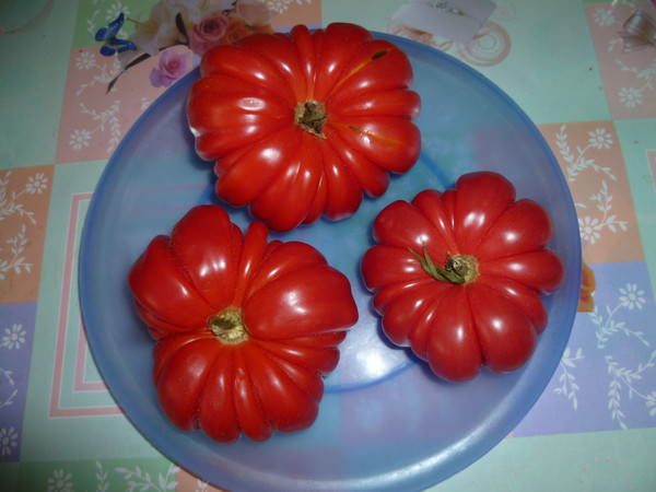 Помидоры активно используются для приготовления различных блюд