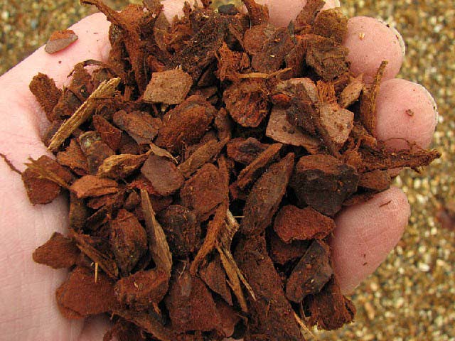 Субстрат для выращивания комнатных орхидей совершенно не похож на привычный для большинства комнатных растений посадочный грунт