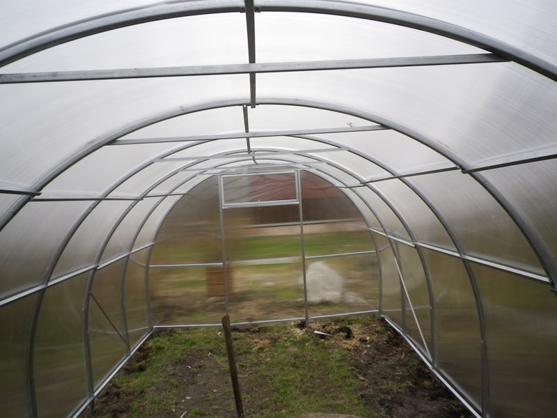 Выбираем сотовый поликарбонат для теплиц на даче