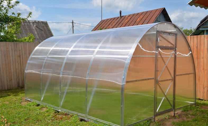 Выбираем сотовый поликарбонат для теплиц на даче