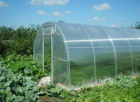 Выбираем сотовый поликарбонат для теплиц на даче