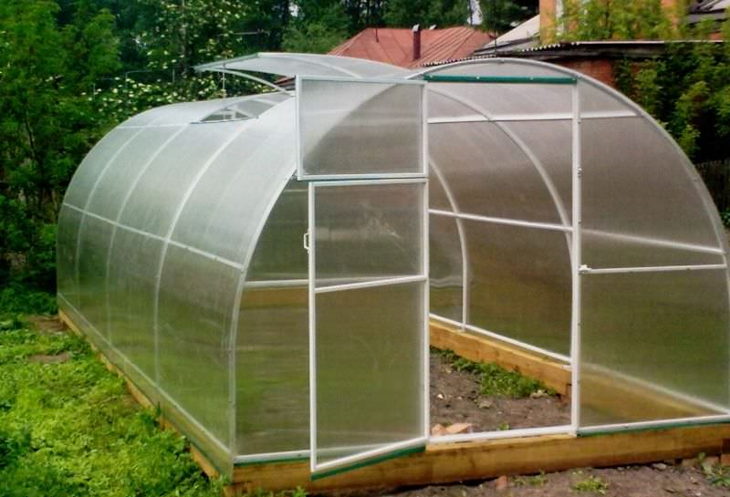 Выбираем сотовый поликарбонат для теплиц на даче