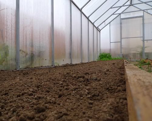 Грунт для выращивания томатов обязательно должен быть плодородным и теплым